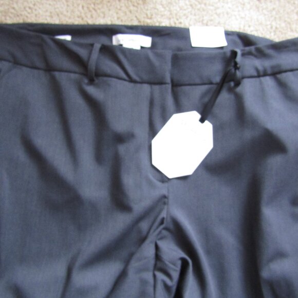 Liz Claiborne Sophie Secretly Slender Pants Women’s Size 18 Charcoal Stretch NWT - Picture 1 of 6